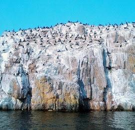 Rock formation on Lake of the Woods