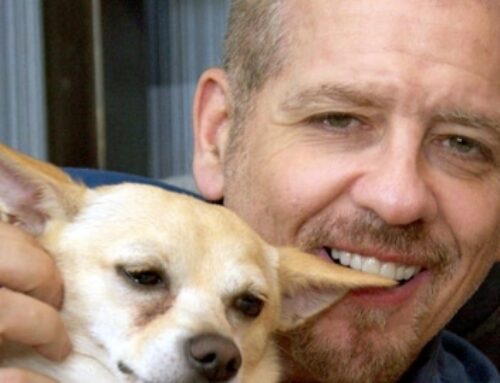 A Dog’s Love